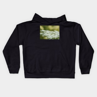 Queen Anne's Lace Macro Kids Hoodie